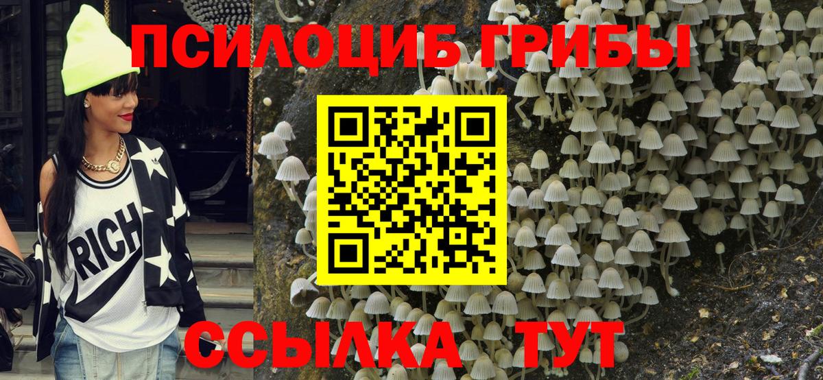 Галлюциногенные грибы GOLDEN TEACHER  Вход с VPN  Каменск-Шахтинский 